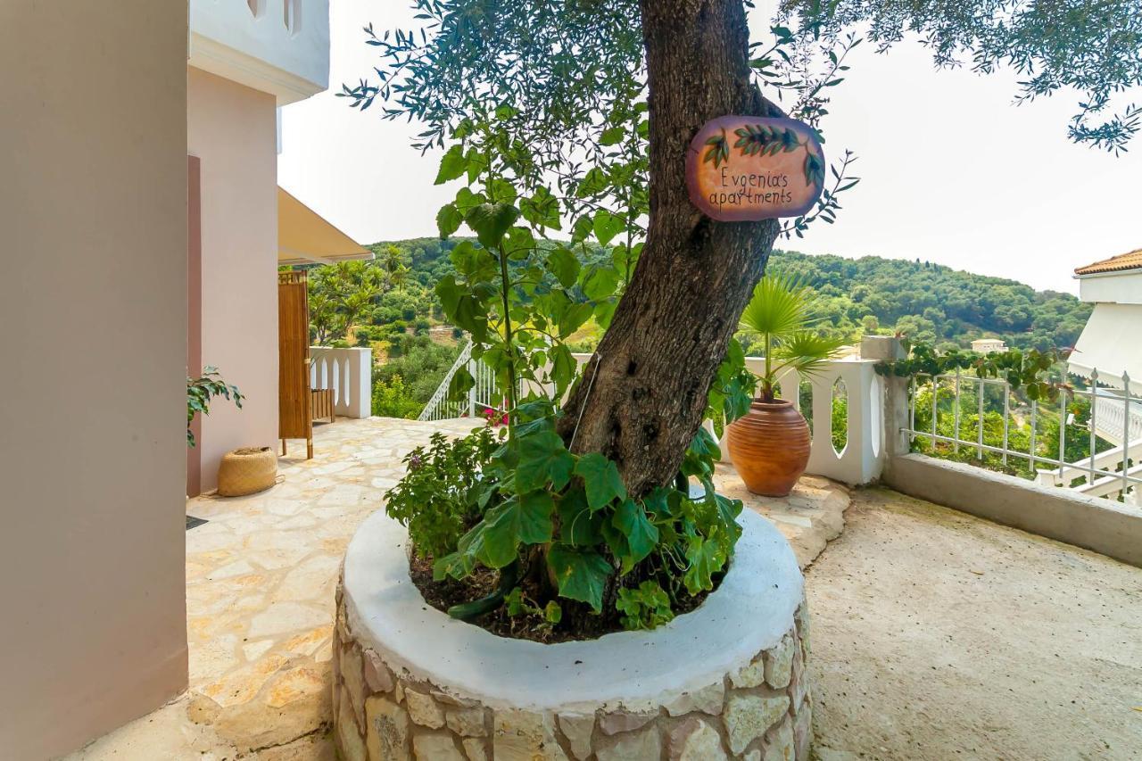 Views Apartments & Suites Πάργα Εξωτερικό φωτογραφία